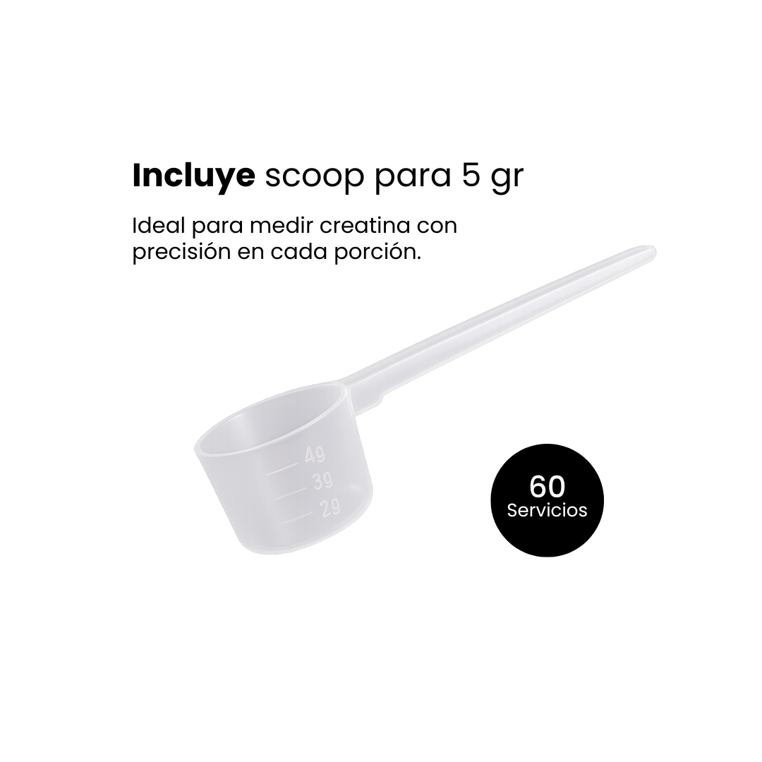 Creatina Monohidratada en Polvo - (300gr)